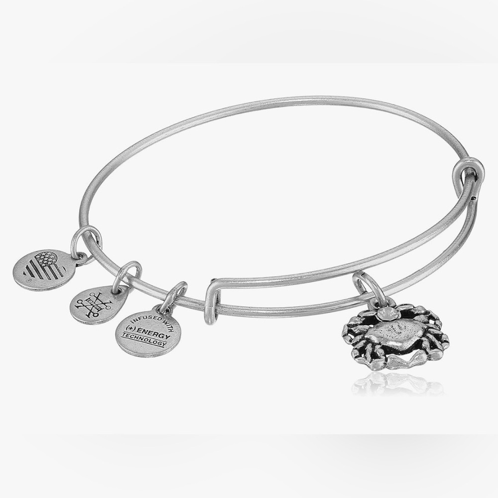 Alex and Ani Rafaelian Silver Crab Charm Bangle Bracelet 3” diameter.